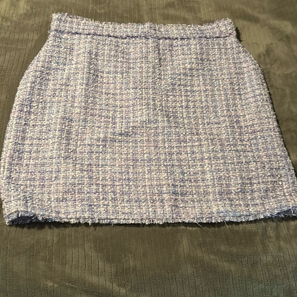 Ann Taylor skirt